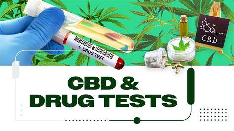 cbd drops for drug test|cannabidiol and cbd drug test.